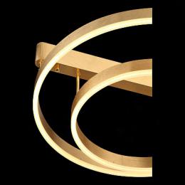 Потолочная светодиодная люстра ST Luce Onze  - 6